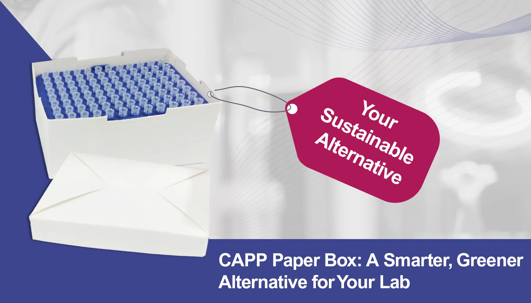 Capp PaperBox