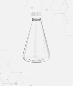 Erlenmeyer Flasks