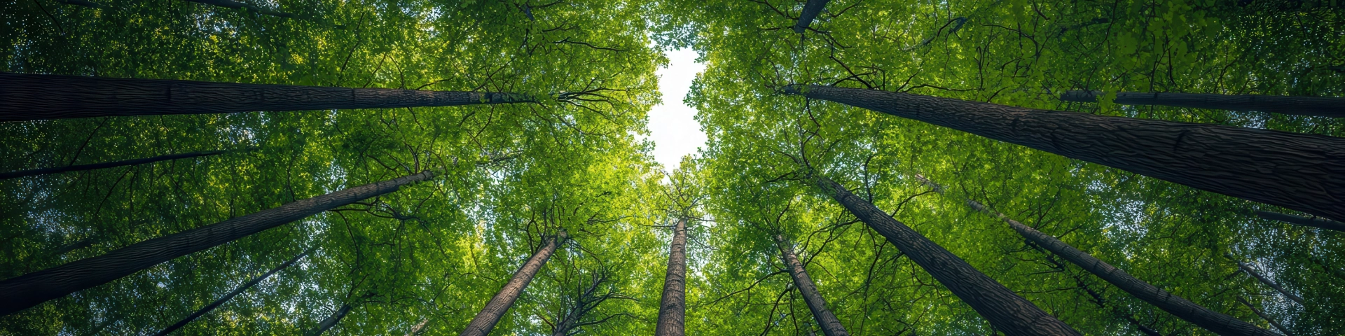 sustainability-banner