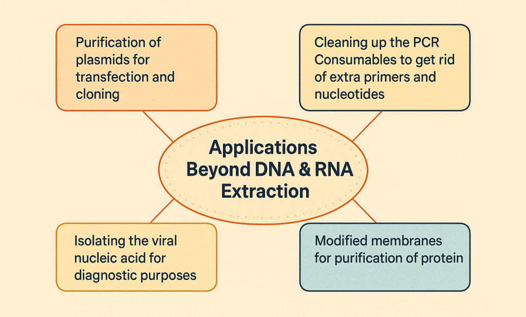 Applications Beyond DNA & RNA Extraction