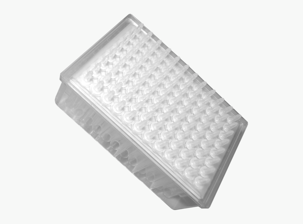 AHN Spin columns & Filter Plates - Image 2