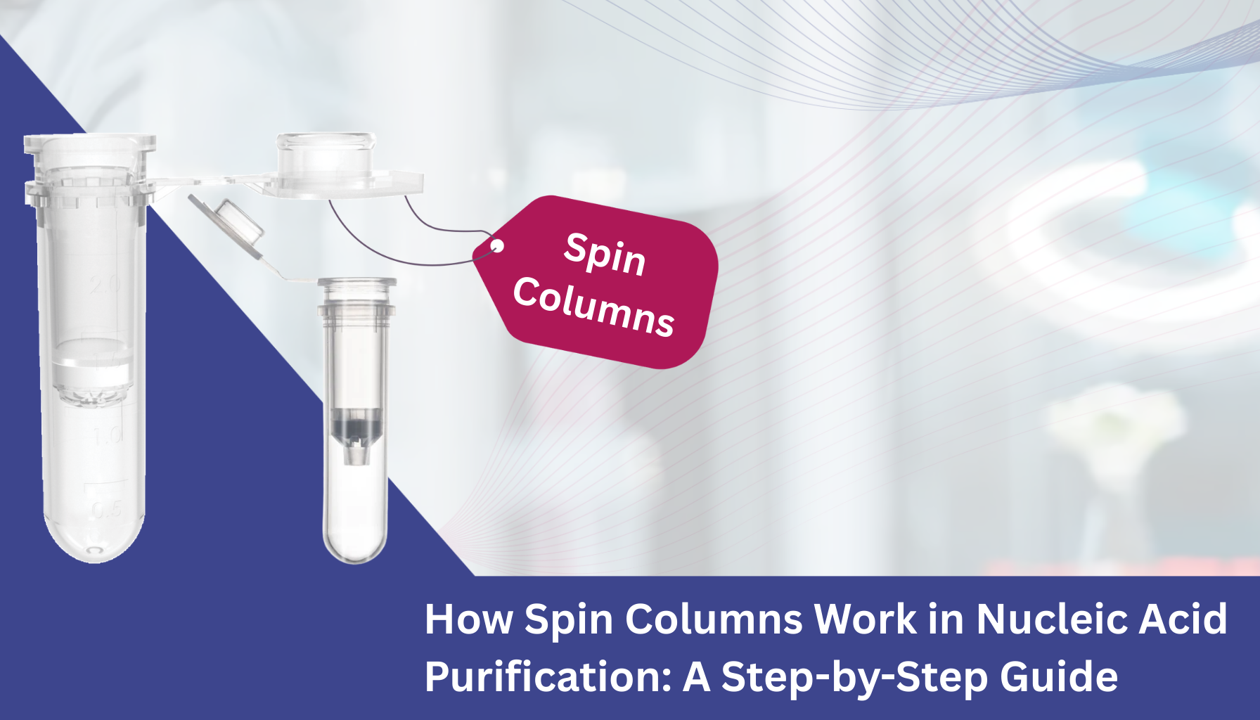 How Spin Columns Work in Nucleic Acid Purification A Step-by-Step Guide
